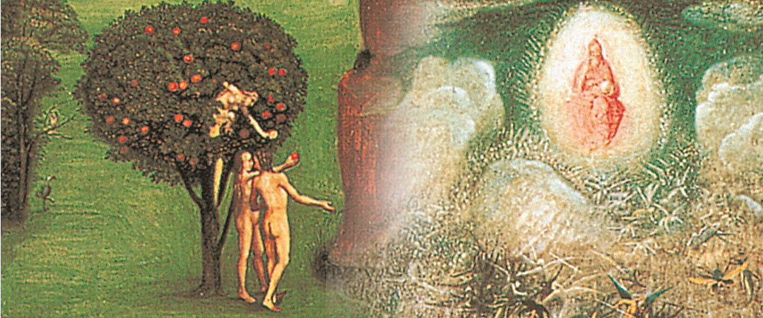 Titelbild zu Jenseits des Jenseits Kapitel 7: "Ein Zuhause für die Seele"